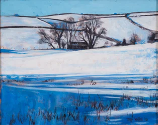Snöskuggor, 2010